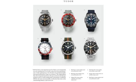 tudor leaks|Hands.